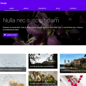 Material Design Google