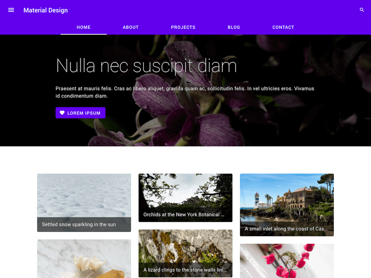 Material Design Google